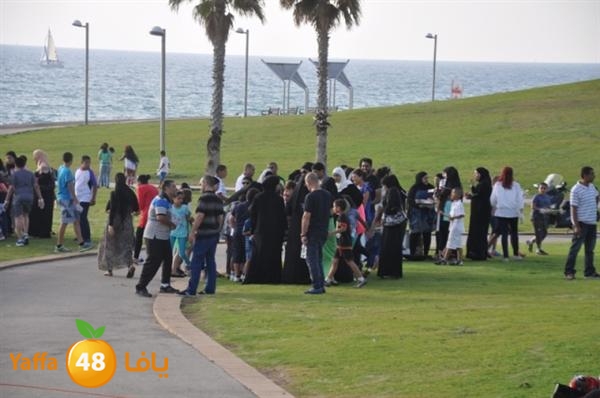 mster shef 0523 (25).JPG